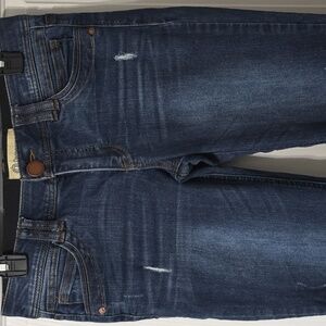 Democracy Lightly Distressed Skinny Jeans